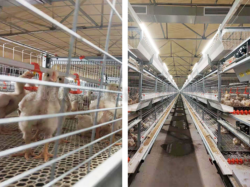 青州雞場養(yǎng)殖環(huán)境控制機(jī)組使用示例